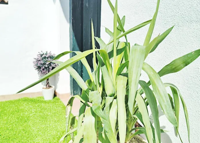 Apart. Cala'n Forcat,4-6pax. Ciutadella De Menorca דירה *